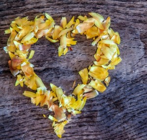 A heart from petals lying on a beautiful old wooden table