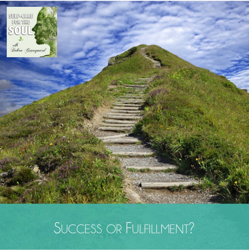 Success or Fulfillment?