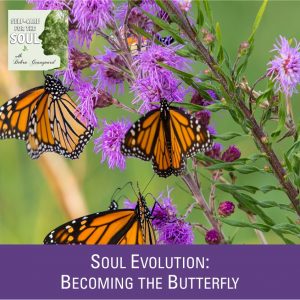 Soul Evolution: Becoming the Butterfly