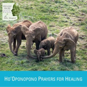 Ho’Oponopono Prayers for Healing