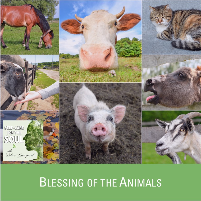 Blessing of the Animals