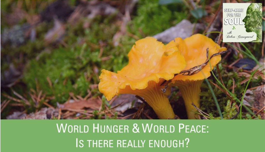 World Hunger & World Peace - Is there really enough?