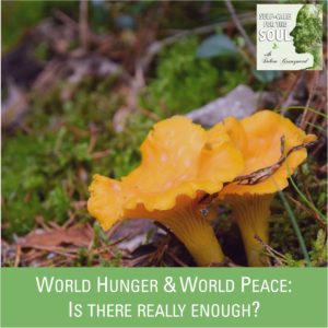 World Hunger & World Peace – Is there really enough?