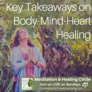 Key Takeaways on Body-Mind-Heart Healing