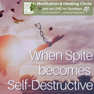 When Spite becomes Self-Destructive