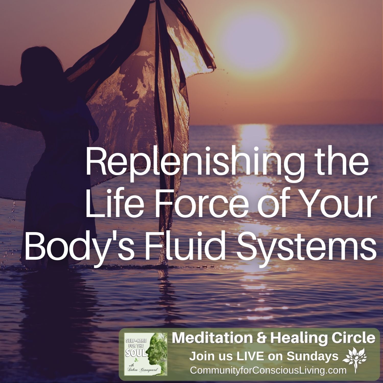 Replenishing the Life Force of Your Body’s Fluid Systems