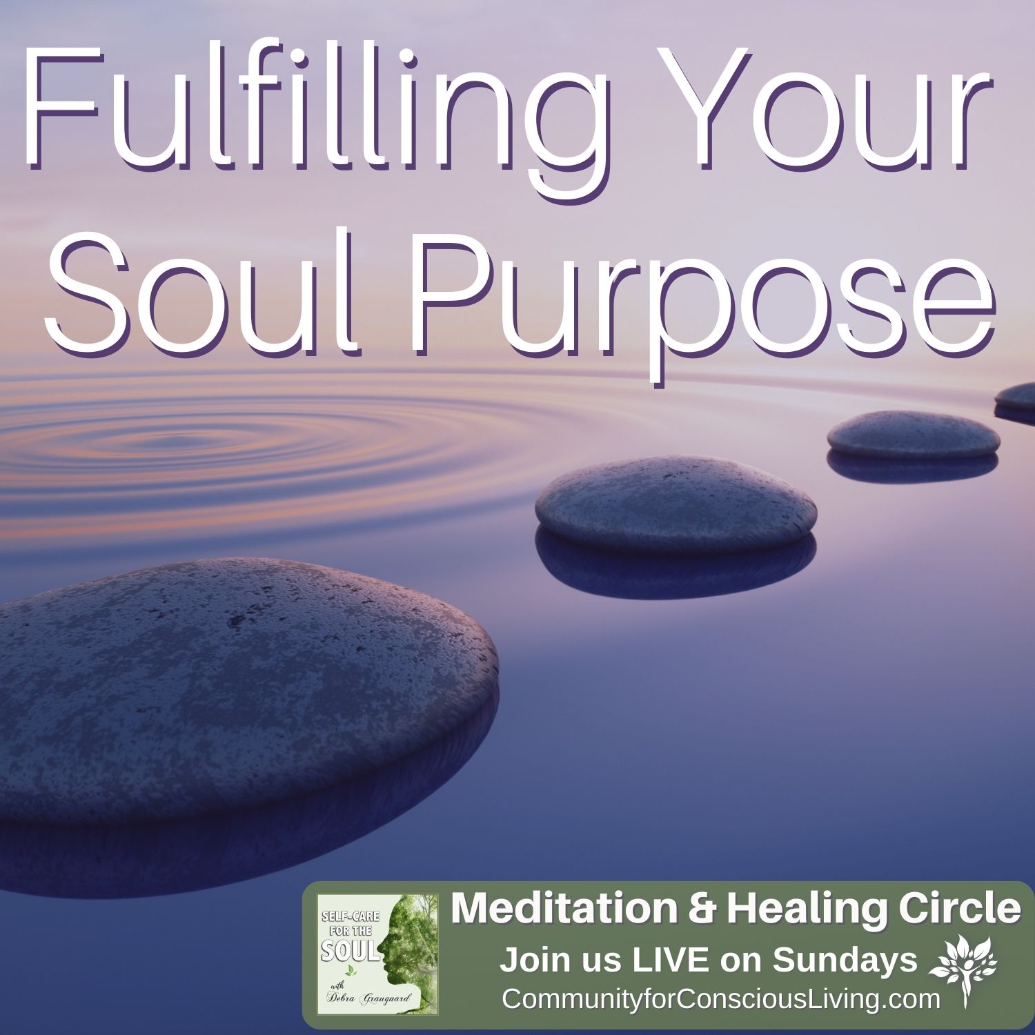 Fulfilling Your Soul Purpose