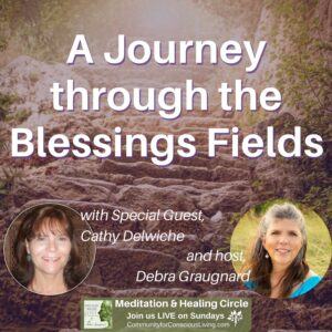 Journey through the Blessings Fields