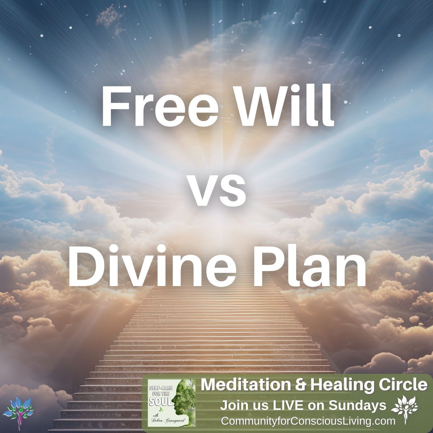 Free Will vs Divine Will