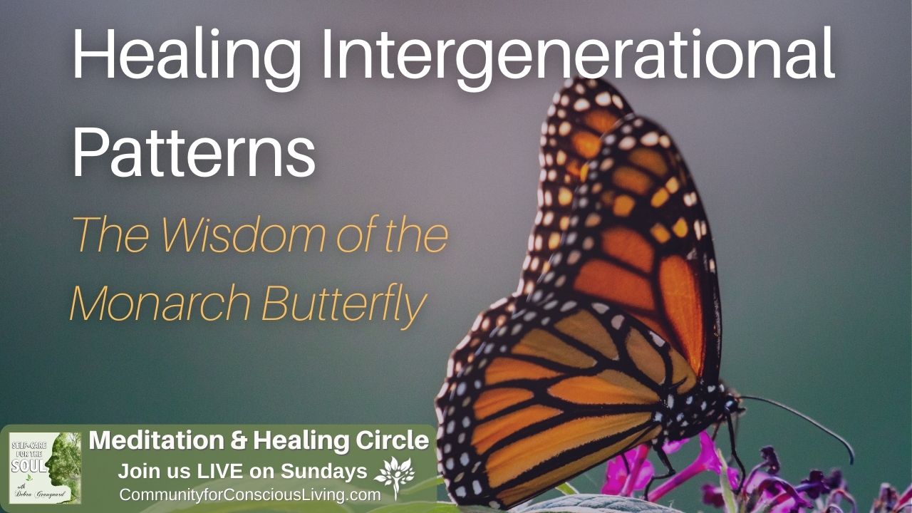 Healing Intergenerational Patterns: The Wisdom of the Monarch Butterfly