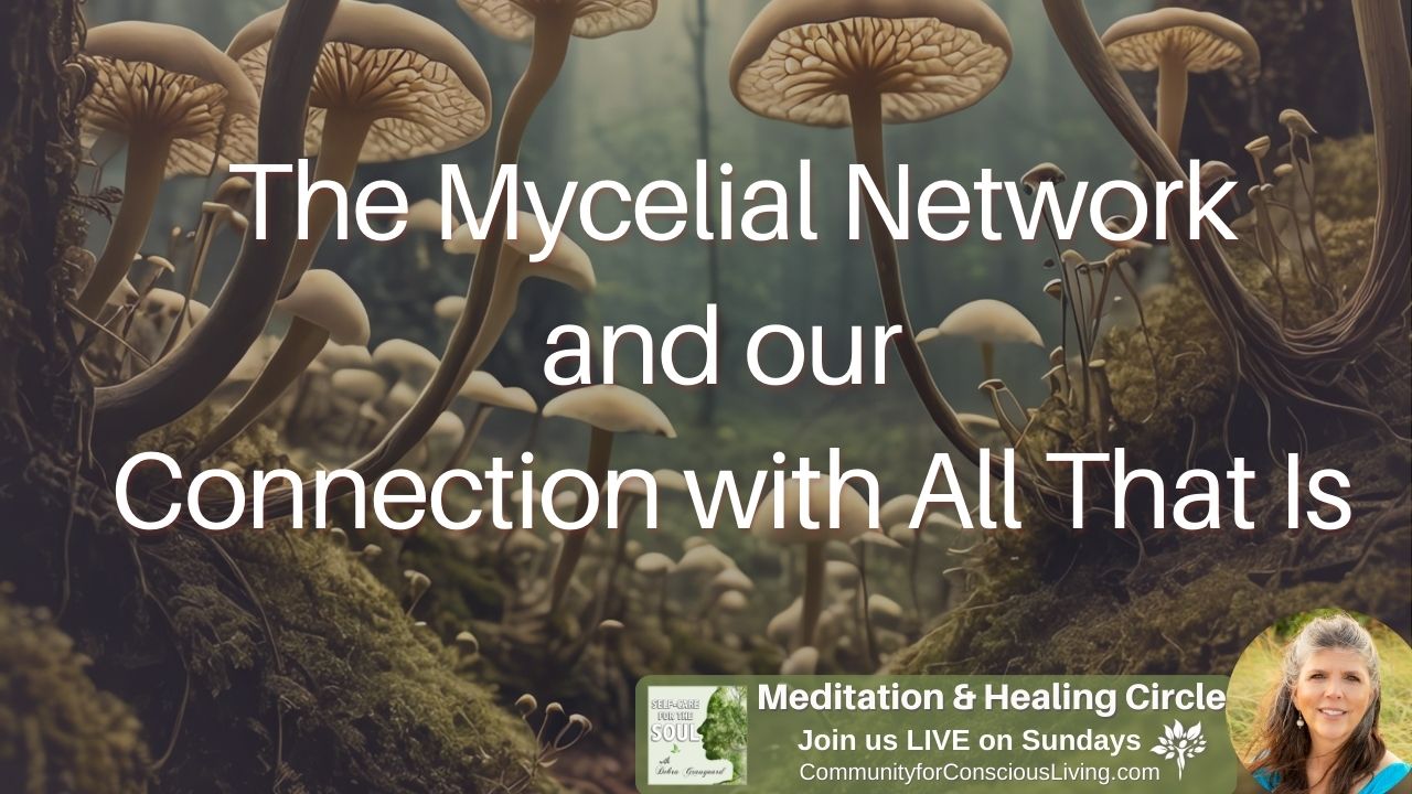 The Mycelial Network and Our Connection with All That Is