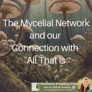 The Mycelial Network and Our Connection with All That Is