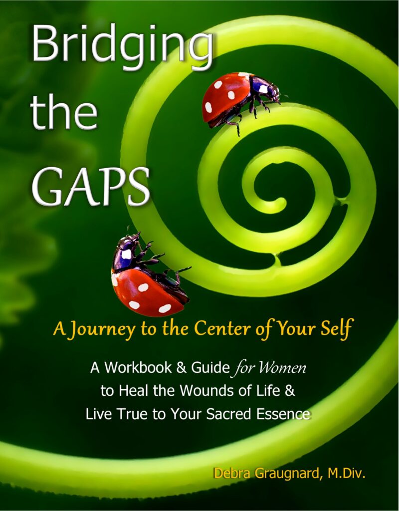 Bridging the Gaps workbook cover