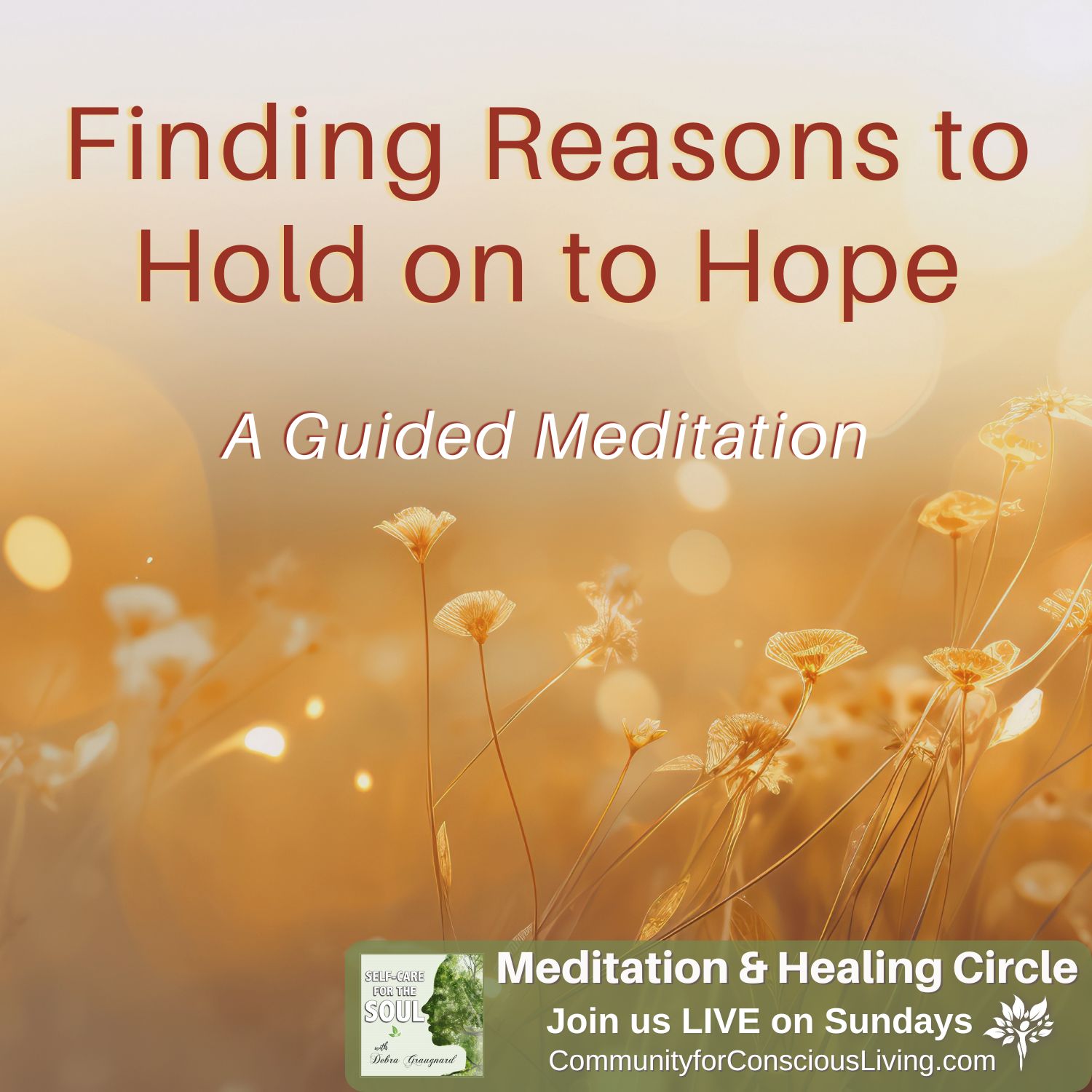 Finding Reasons to Hold onto Hope