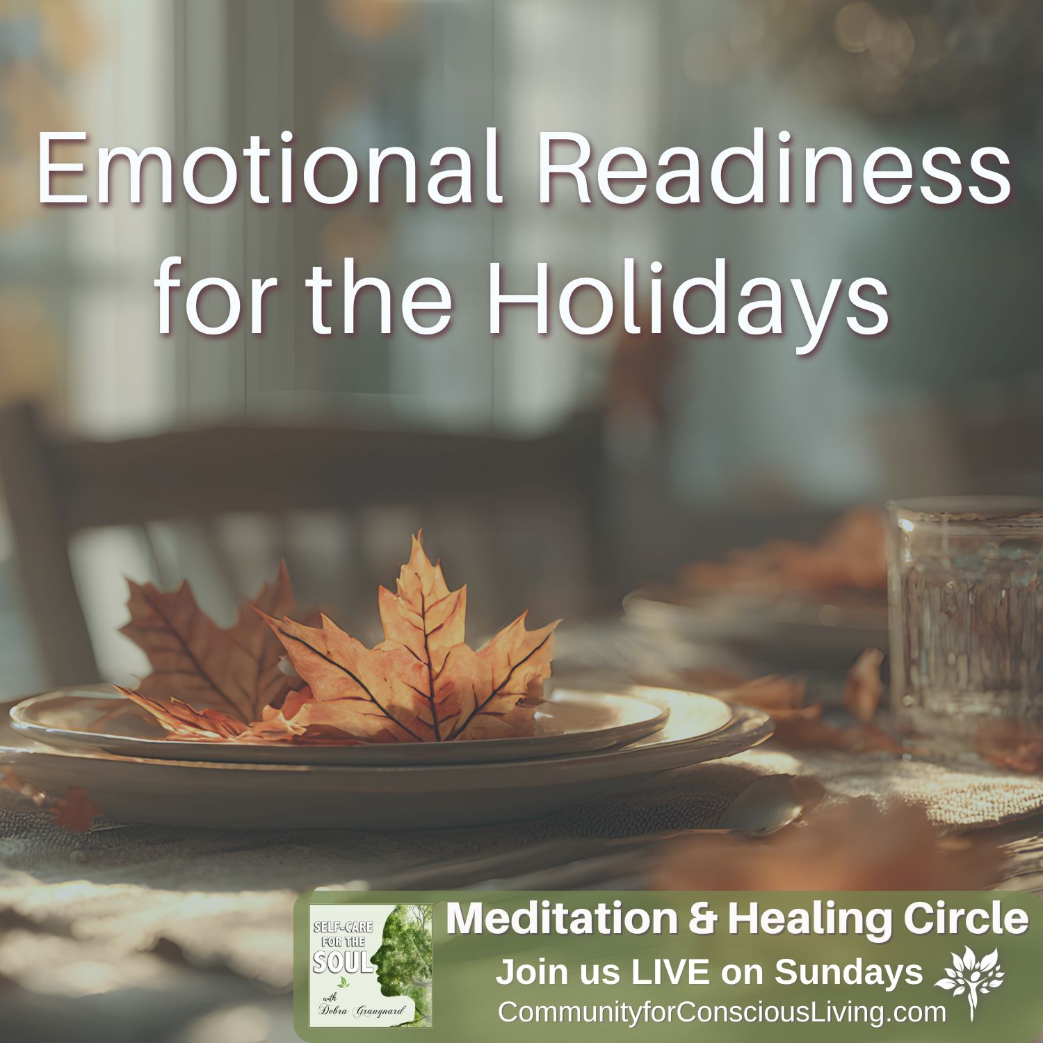Emotional Readiness for the Holidays